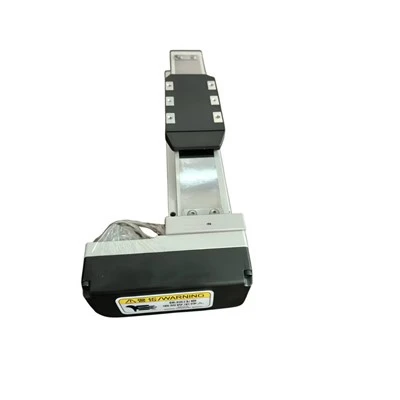 Electric Slide Table Actuator: FL Rear Flange Mounting | Yangning
